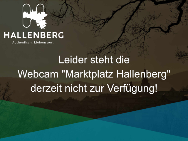 Platzhalter Webcam defekt